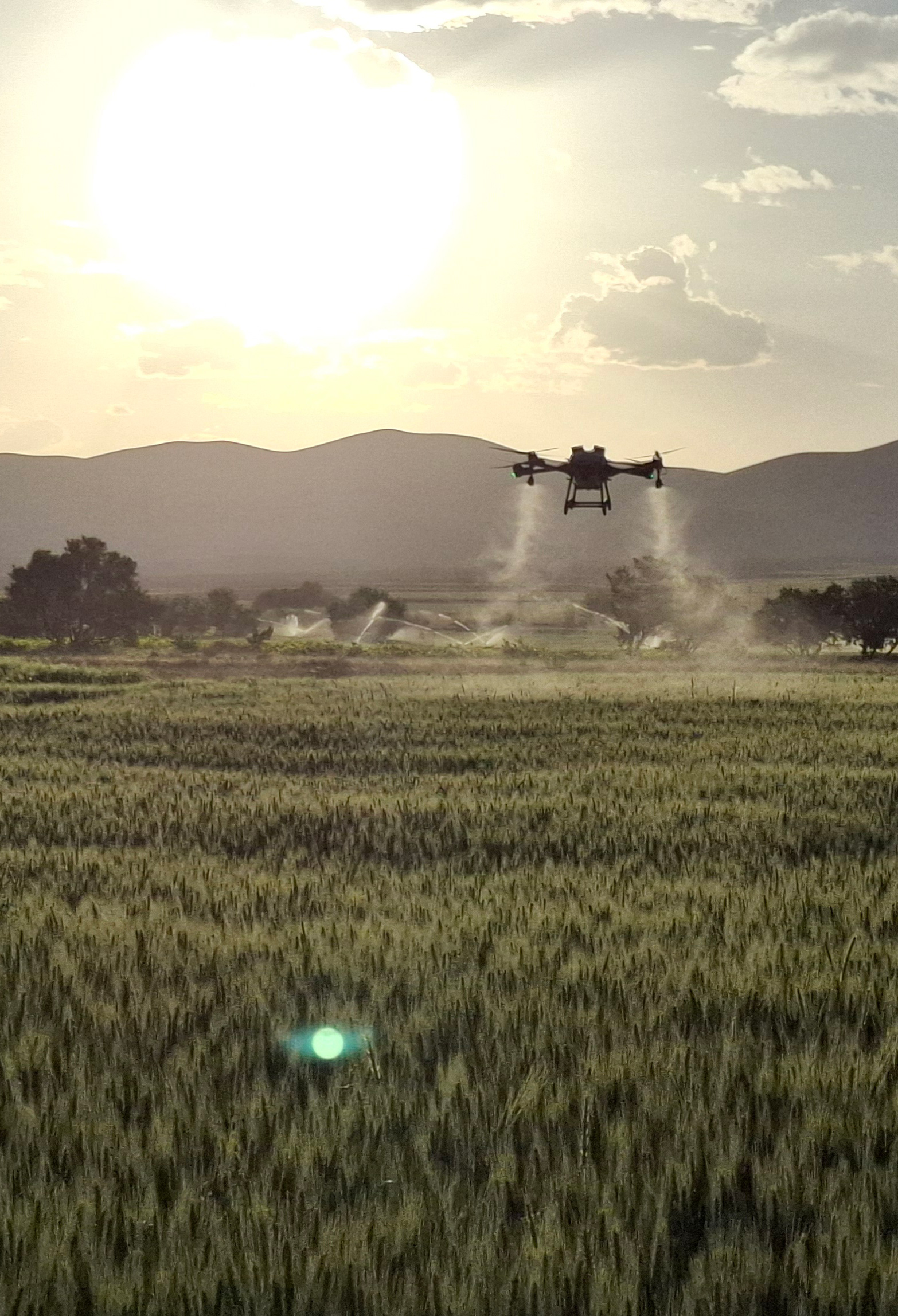 کاربرد پهپاد در کشاورزی؛ انقالبی در مدیریت زمینهای کشاورزی